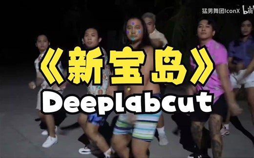 新宝岛（Deeplabcut 版）