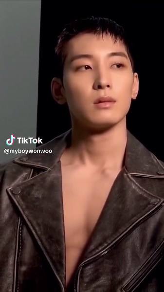 Jeon Wonwoo: The Insane Model Behind Seventeen