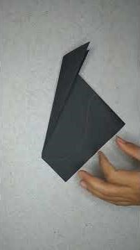 guinness world record paper airplane distance