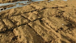 ¿Restos de la Atlántida enterrados bajo la costa noroeste de Cádiz? Otro investigador prueba su existencia
