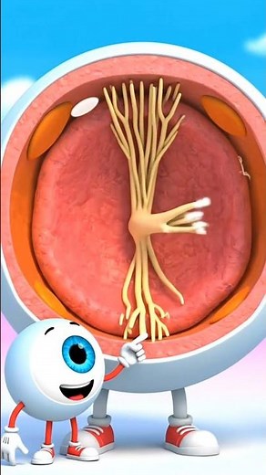 learn how your eye captures light and helps you see everything around you!