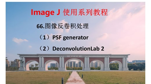 66.图像反卷积处理（Deconvolution analysis)