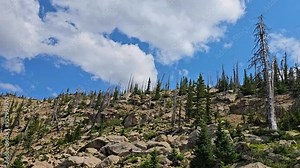 Time Lapse-Clouds over mountain ridge line-Massive Boulders on hill side-Pine trees dead and alive-Alternating sun and shadow passes over the face of the hill