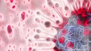 Understanding COVID-19 through videos