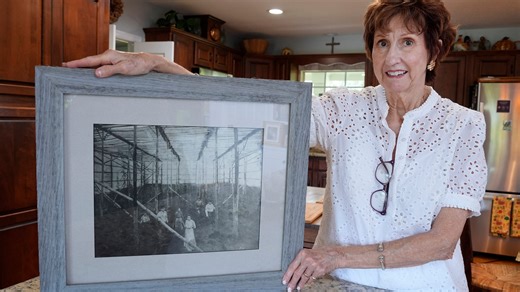 The cash crop that made city of Pierson the 'Fern Capital of the World'