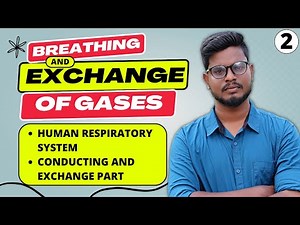 Human Respiratory System in Tamil | Breathing and Exchange of Gases in Tamil (2)