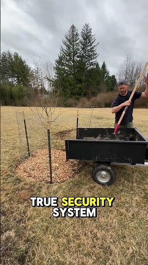 Planting a Tree is just the Beginning