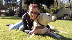 Happy International Guide Dog Day! 🦮 This year, our focus for International Guide Dog Day is all about ‘petiquette’ – the etiquette of handling your pet around working Guide Dogs. In a recent survey, 70 percent of Guide Dog Handlers reported having to deal with distractions from poorly behaved pet dogs in the past 12 months, with the survey showing that off-lead pet dogs and uncontrolled dogs on leads are the most common distractions. As a result, more than half of the Guide Dogs Handlers surve