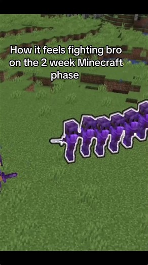 Facing Off in Minecraft: A Heartfelt Battle