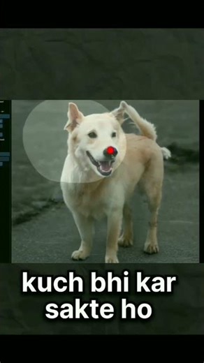 How to Change Camera Angle After Taking a Photo (Free App)