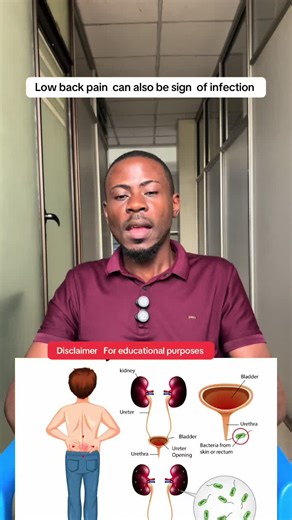 Understanding Low Back Pain: Causes and Relief Options