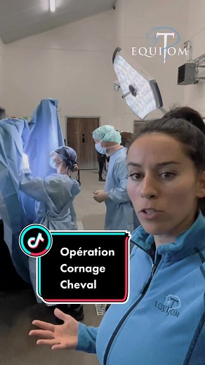 Comprendre le cornage chez les chevaux