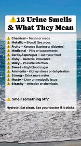 26K views · 85 reactions | 12 Urine Smells & What They Mean!? #HealthTips #Wellness #StayHydrated #UrineHealth #KidneyCare #HealthAwareness #BodySignals | Graham Kath | Facebook