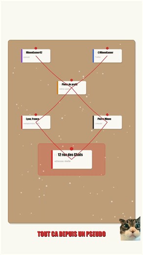 Méchant Chat a trouvé ton adresse depuis ton pseudo de jeu. C'est le Doxing 📍 #doxing #cybersécurité