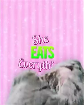 Ken better stay away from my beach. 😤 #Meg2 The Trench coming to GSC this August 🦈💥 | GSC