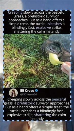 Never Underestimate a Snapping Turtle's Speed! 🐢😱#snappingturtle #jumpscare #speedofnature