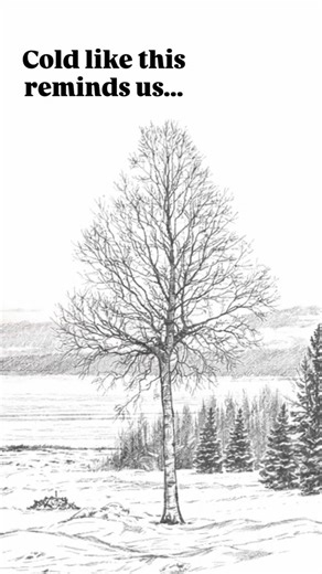 Extreme cold has a way of resetting priorities. Stay safe. Stay warm. Take care of each other. We’re doing the same here and moving carefully, one day at a time. #Quartzlakelodge | Quartz Lake Boat/Ice Fishing Rentals