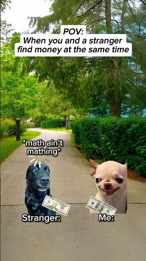 CAT MEMES🐱| When you and stranger find money at the same time | #relatable #catmemes #relationship