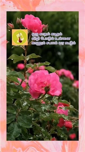 Valai Osai Song Lyrics