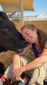 2K views · 7.3K reactions | This is the kind of world we all deserve❤️ When we eat animals, we disconnect from something deep within ourselves. But when we reconnect with them, we start to remember who we truly are. In a world that’s lost its way, this is how we find it again❤️ #Animals #Freedom #Cute #Beautiful #Nature #Love #Veganism | Freedom Farm Sanctuary | Facebook