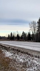 21K views · 25 reactions | This truck deserves its own Netflix documentary: Surviving the Timber Road.  #forestry #forest #logging #puuteollisuus #skogen #Tigercat #woodworking #chainsaw #husqvarna #logtruck | Ecoforestai | Facebook