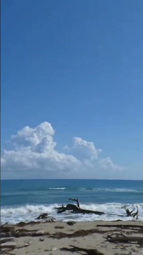 Beach Aesthetic
