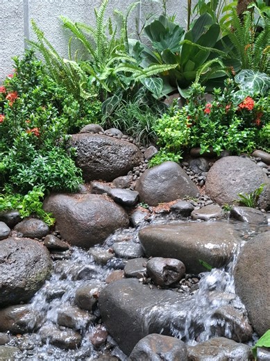 Exploring Nature Through Art and Science in Solo