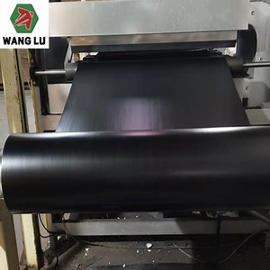 [Hot Item] Phenolic Surface Film High Density Overlay Film Hdo Film for Australia