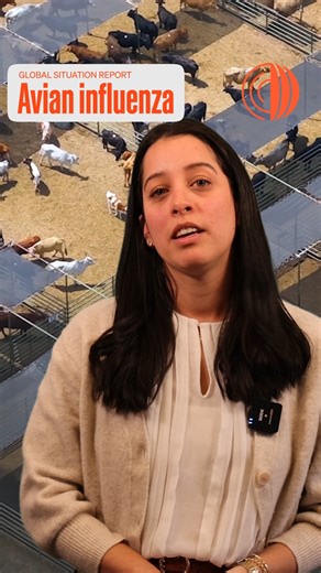 1.5K reactions · 93 shares | #BirdFlu (or avian influenza) updates...