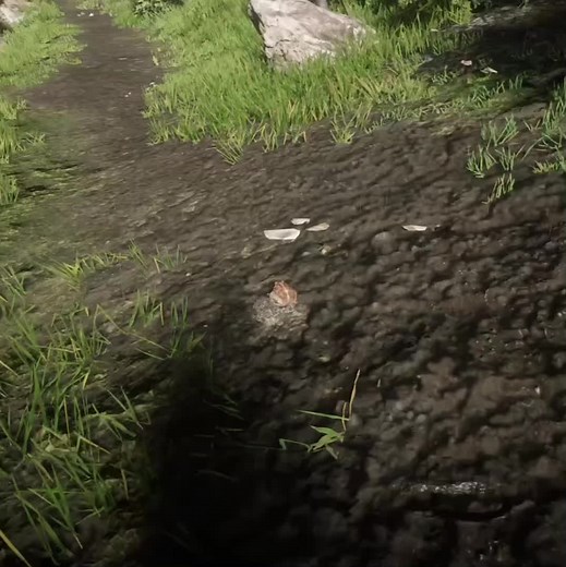 Western Toad Facts in Red Dead Redemption 2