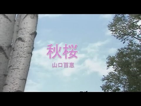 （カラオケ） 秋桜＜コスモス＞ / 山口百恵