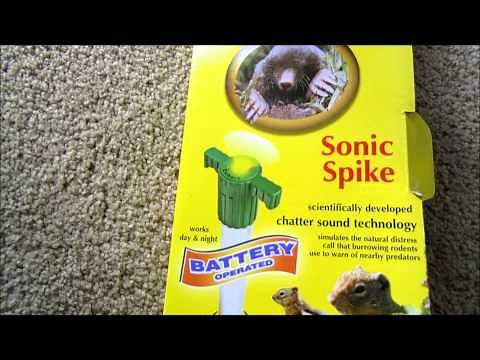 Review of the Bonide Molemax Sonic Spike for repelling mole and gopher