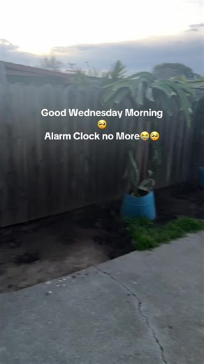 StarceyHaywardGameFarm (@starceyhaywardgam)’s videos with Warm Lights - Type Beats Trap