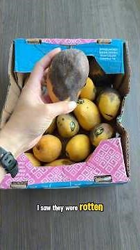 I bought a box of rotten mangoes to see if I could grow them🥭👹