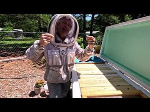 NEW AND AWESOME designs for horizontal bee hives.