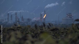 effect of pollution on agriculture. injured agricultural crops, pollution from factory farm runoff. food security. water pollution, air pollution, loss of crops