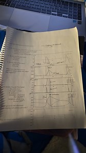 9"MTWYACTION POTENTIALS WORK SHEETNAMI Meghan McDonald.On... | Filo