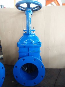 [Hot Item] DIN 3352 F4 Standard Soft Seal Resilient Seated Gate Valve