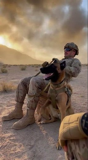 Military Dog and Soldier React to Sudden Explosion 😳🇺🇸 #militarydog #armyk9 #usarmy #viralshorts