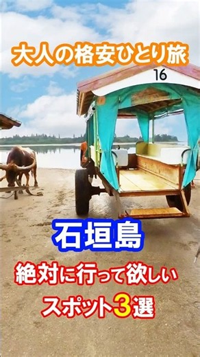 【石垣島観光 ベスト3】この夏行きたい！おすすめスポット3選 #石垣島 #西表島 #由布島