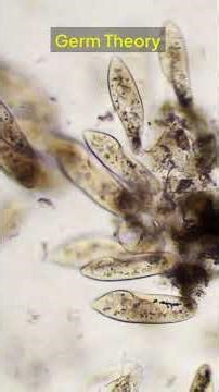 The Medical Mistakes That Shaped Modern Health #MedicalHistory #VictorianMedicine #MiasmaTheory