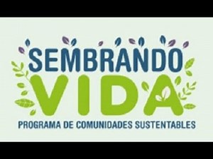PROGRAMA SEMBRANDO VIDA 2019
