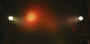 Rocknrose young (06/16/2025)