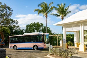 Bermuda Electrifies 1/3 Of Its Public Bus Fleet - CleanTechnica