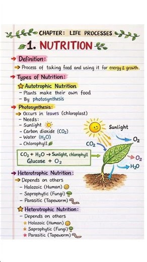 ⚡ Life Processes: Nutrition Easy Notes #vigyaanvani #biologyshorts #notes #class10biology #nutrition