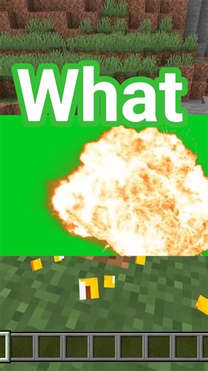 playing random drops #minecraft #gaming