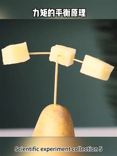 Exploring Physics Through Fun Science Experiments