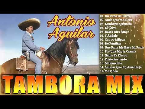 Antonio Aguilar 🐎 15 Corridos de Caballos Famosos | Grandes Éxitos Rancheros