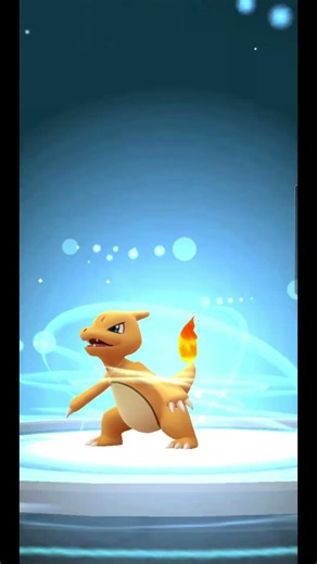 Shiny Charmander Evolution to BLACK CHARIZARD! #shorts #pokemongo