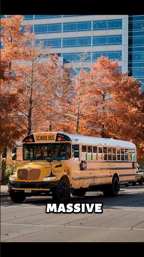 Why US School Buses Have NO Seatbelts